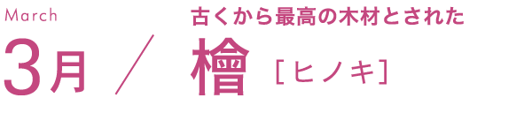 3月 古くから最高の木材とされた 檜［ヒノキ］