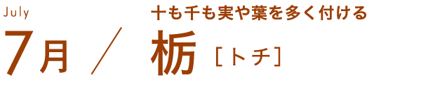 7月 十も千も実や葉を多く付ける 栃［トチ］