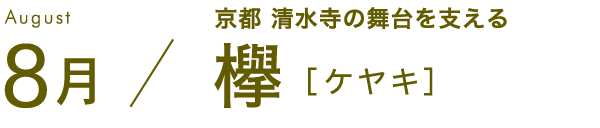 8月 京都 清水寺の舞台を支える 欅［ケヤキ］