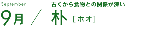 9月 古くから食物との関係が深い 朴［ホオ］