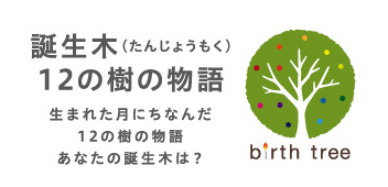 誕生木（たんじょうもく）12の樹の物語