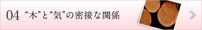 04木と気の密接な関係