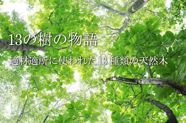 13の樹の物語