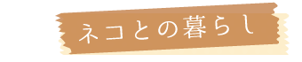 ネコとの暮らし
